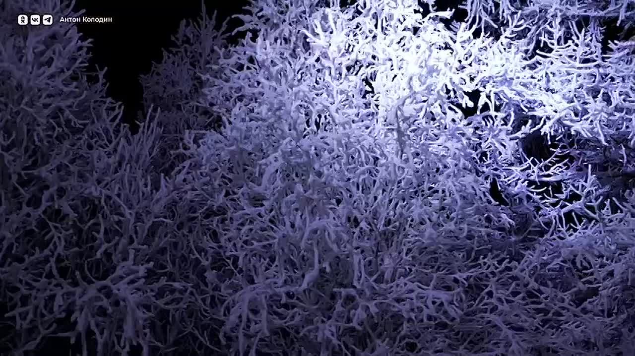 В Новом Уренгое завершаются работы по благоустройству Яха-парка