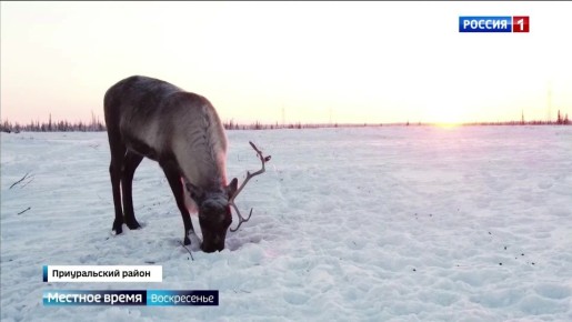 Настало время подвести итоги минувшей недели, и вот чем она запомнилась нашим корреспондентам: