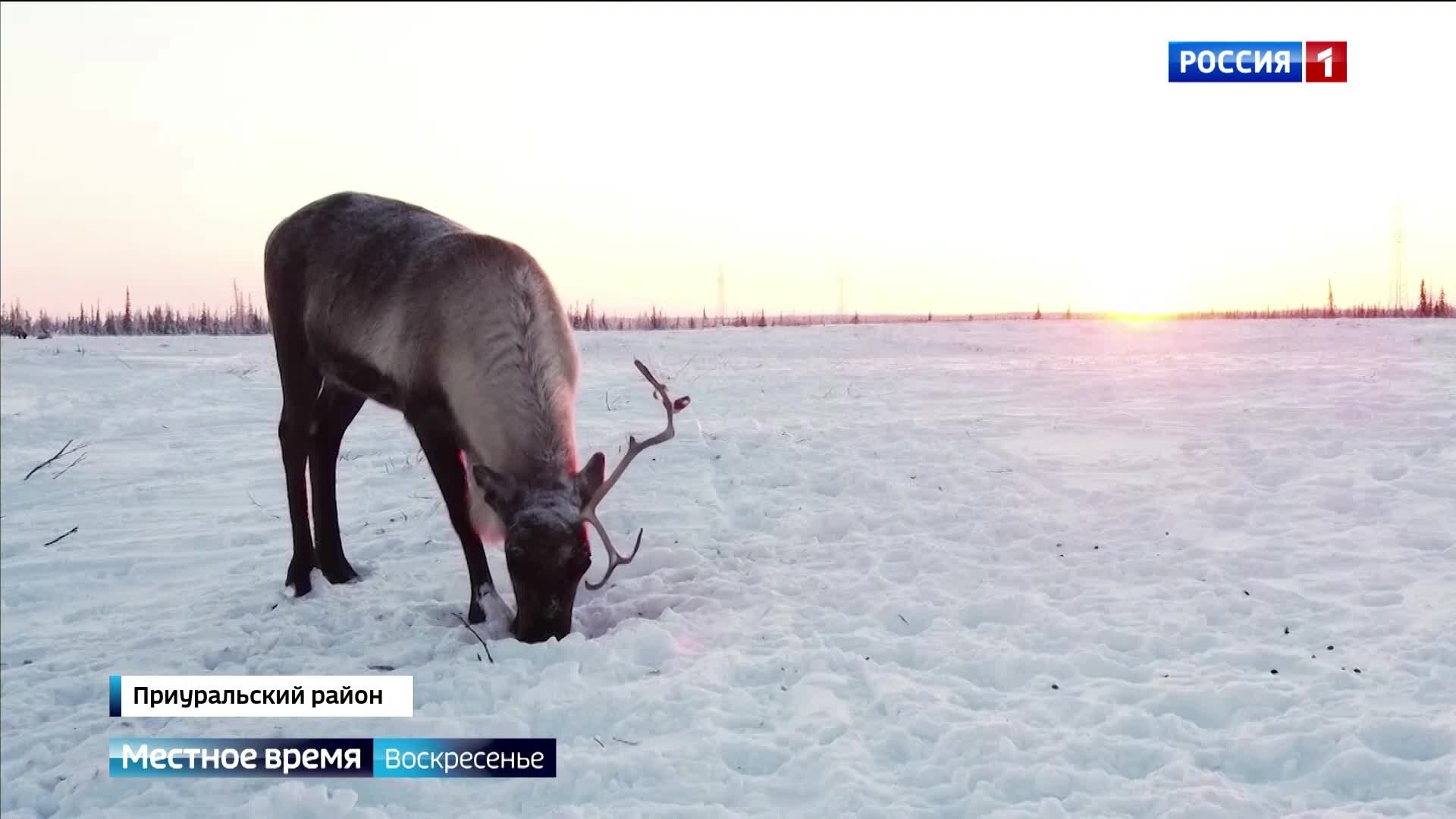 Настало время подвести итоги минувшей недели, и вот чем она запомнилась нашим корреспондентам:
