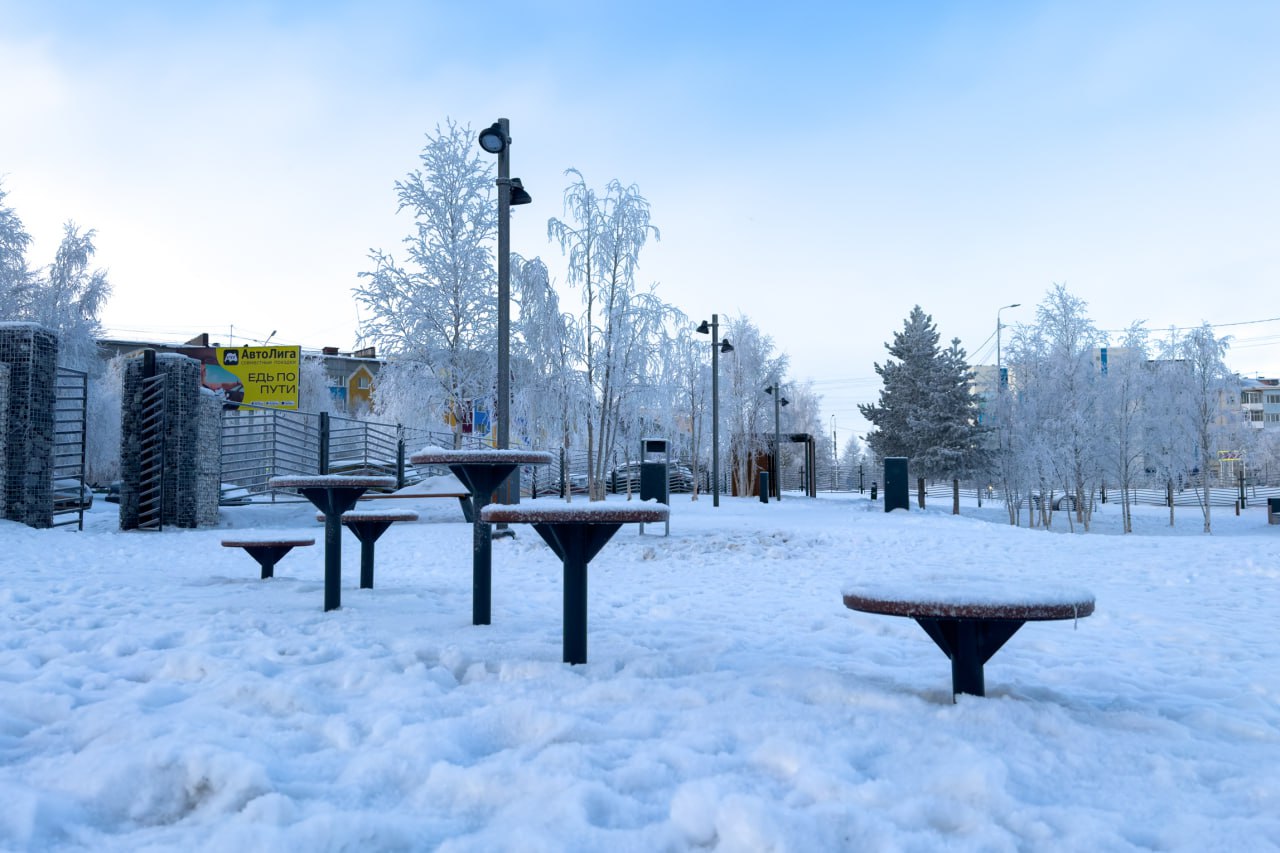 В Надыме открыли новую площадку для выгула собак В Надыме открыли новую площадку для выгула собак