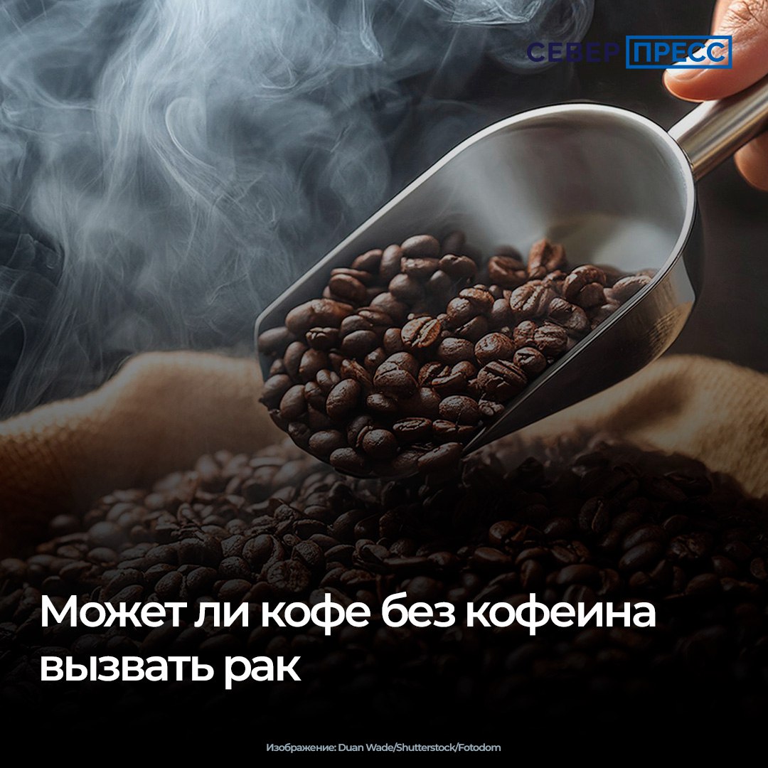 Любителям ароматного кофе часто приходится выбирать между удовольствием от вкуса и нежелательными последствиями избытка кофеина