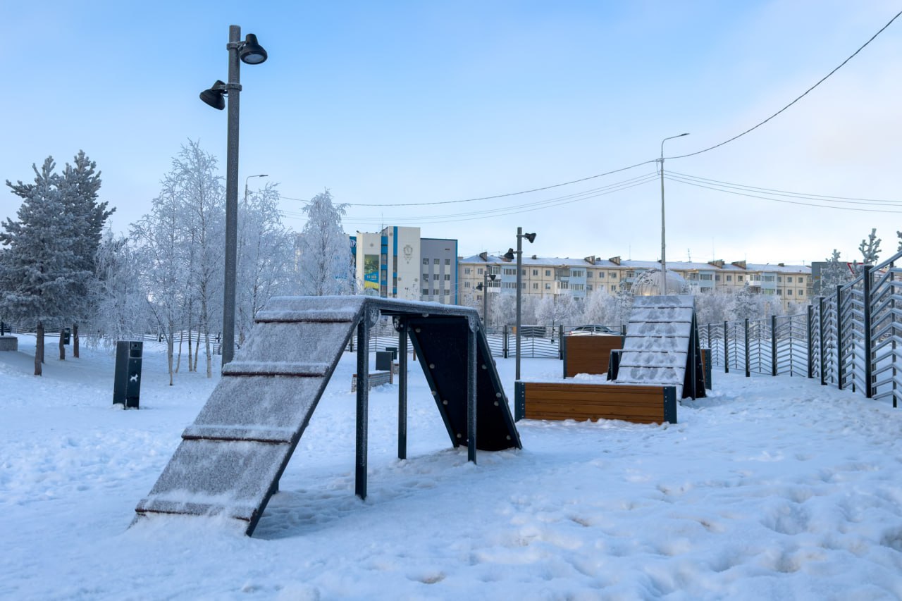 В Надыме открыли новую площадку для выгула собак В Надыме открыли новую площадку для выгула собак