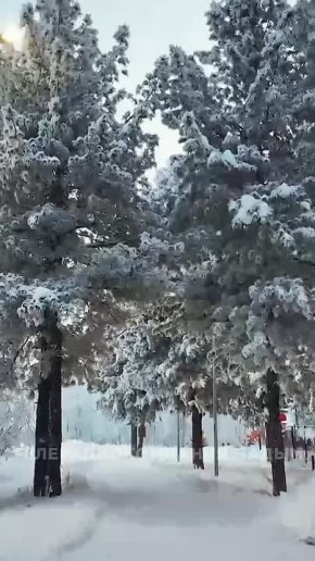 Надым в ноябре — это всегда про снежную сказку!