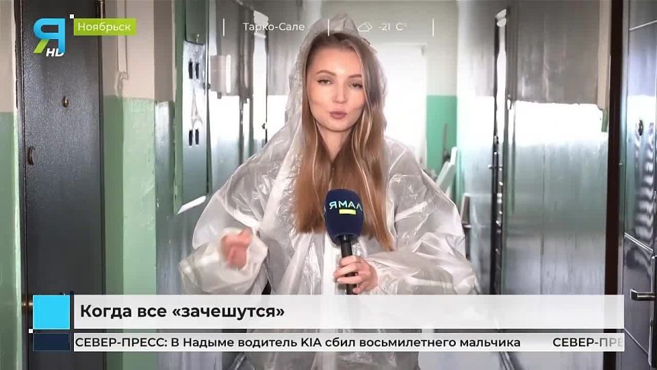 Клоповый апокалипсис: ноябряне попали под ползающее вторжение