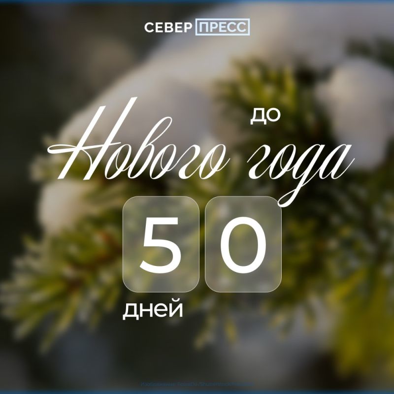 Просто напоминаем: до Нового 2026 года остается 50 дней