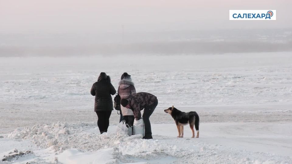 Будьте внимательны. В связи с активным становлением ледового покрова на реках округа и официальным запретом выхода и выезда на поверхность водных объектов в Приуральском районе, спасатели Ямалспаса осуществляют дежурство в...