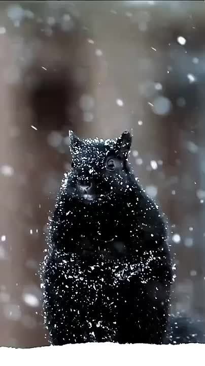 ЕДДС предупреждает о похолодании 12 - 14 ноября