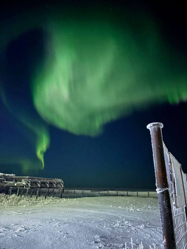 Над Ямалом вновь полыхает небо!