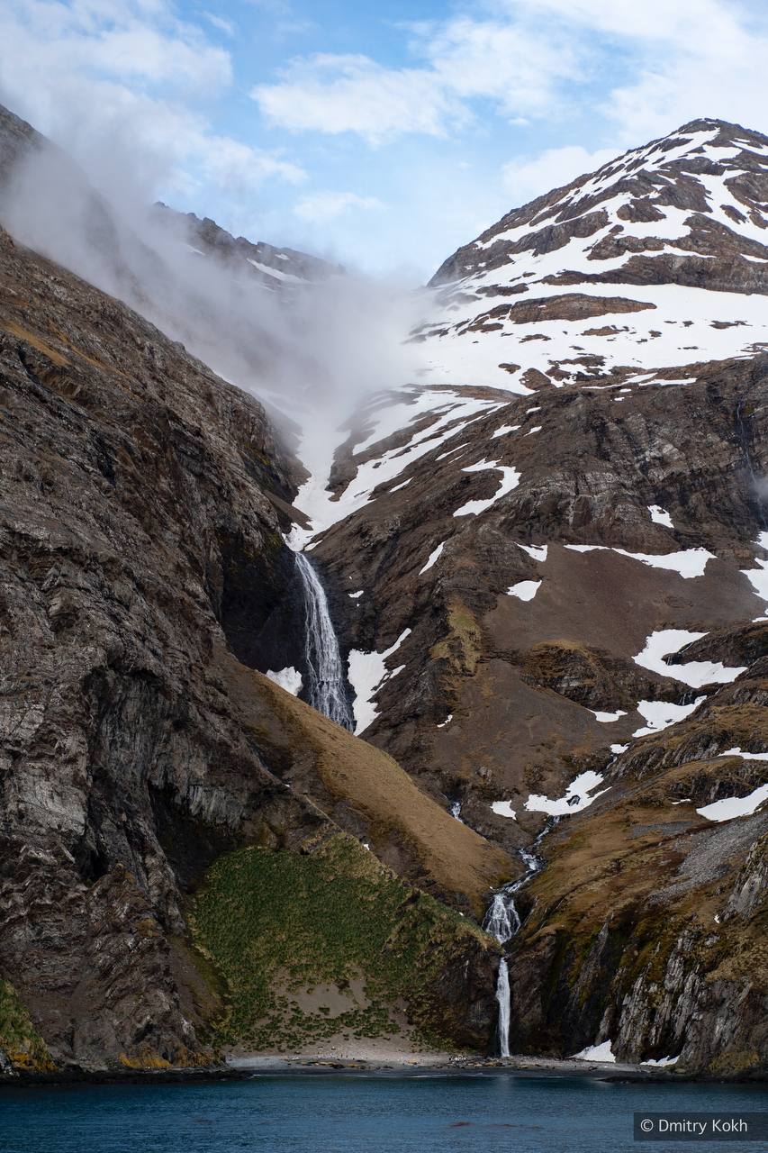 Кадры с Южной Георгии. Остров оживает: на скалах и побережьях можно наблюдать местных обитателей в их естественной среде Кадры с Южной Георгии. Остров оживает: на скалах и побережьях можно наблюдать местных обитателей в их естественной среде