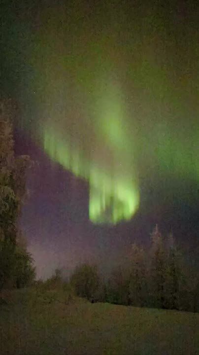 Дмитрий Артюхов: Земляки, головы вверх — сегодня над нами одно из самых ярких сияний