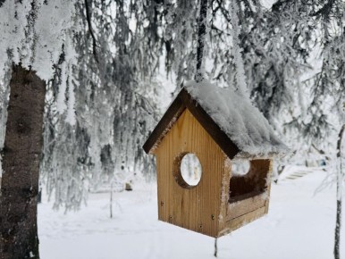   , .    - 24 C  - 22 C,  ,  1-3 /