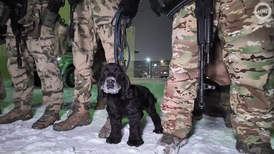 «На душе тепло»: ямальцы вернулись домой с фронта