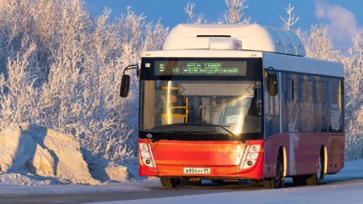 В морозы — не пешком: автобусы снова поедут до переправы