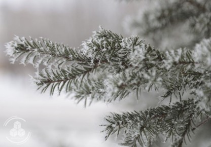 Утро доброе!. Желаем ясных мыслей, лёгких решений и приятных сюрпризов в течение дня
