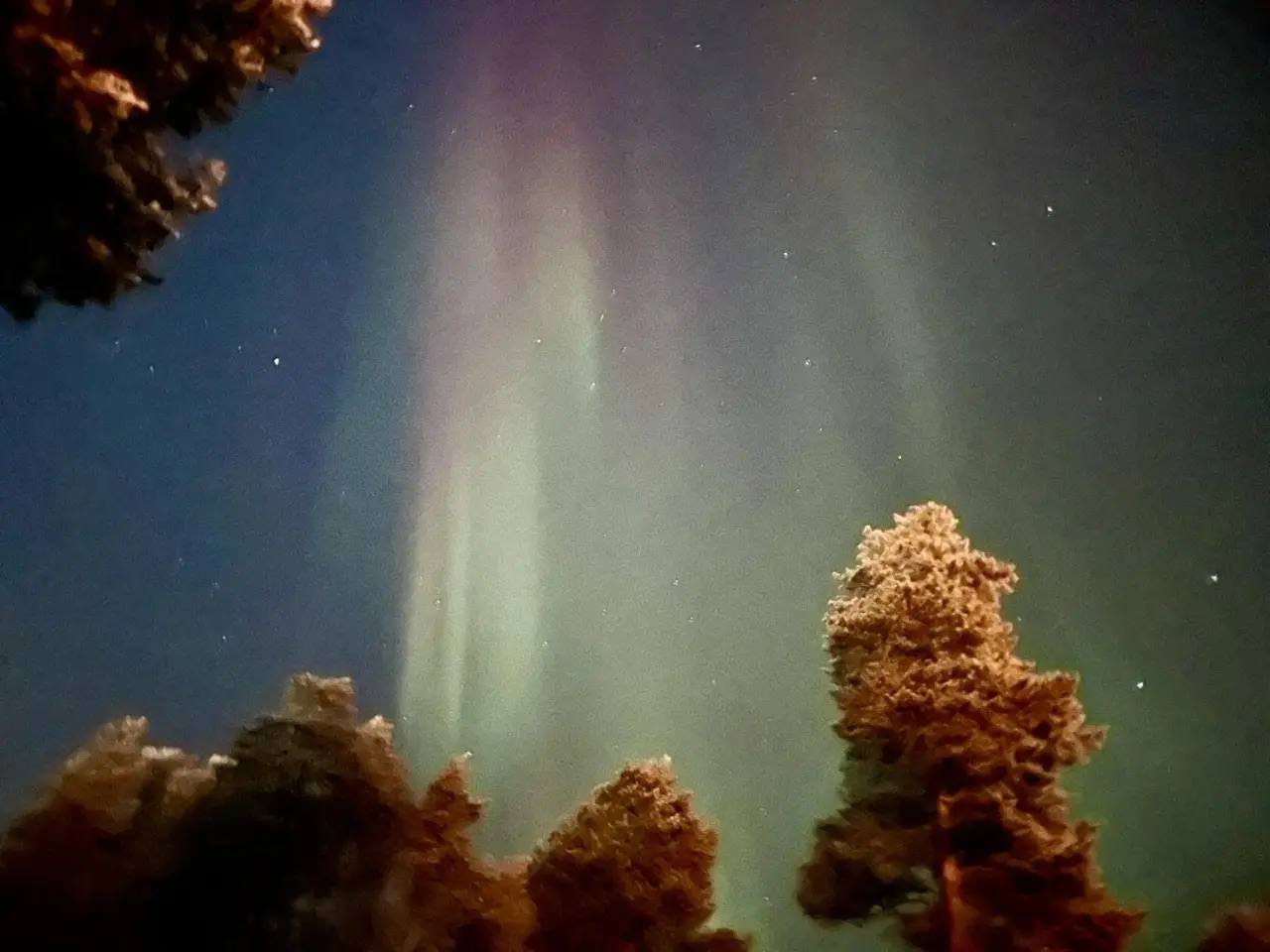 Нереальная красота: сегодня ночью над Ямалом полыхало небо Нереальная красота: сегодня ночью над Ямалом полыхало небо