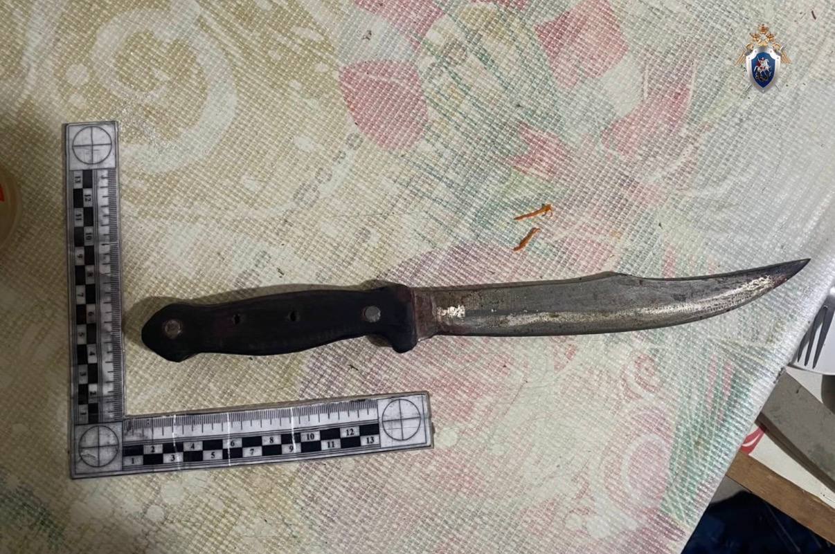 Бытовой конфликт в Яр-Сале привёл к гибели женщины