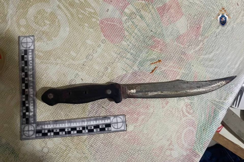 Житель села Яр-Сале обвиняется в причинении смерти сожительнице