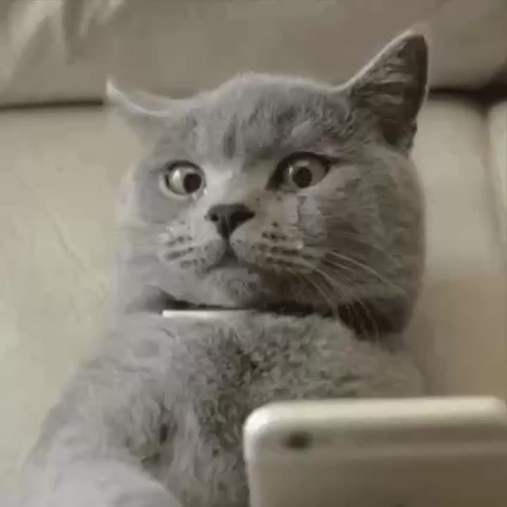 По данным синоптиков 14 января