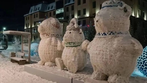 Белые медведи поселились в центре Салехарда