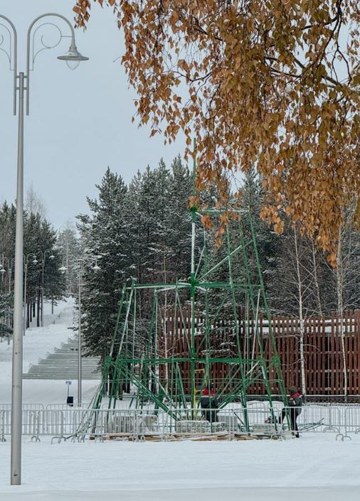 В ожидании праздника: в Ноябрьске устанавливают новогоднюю елку