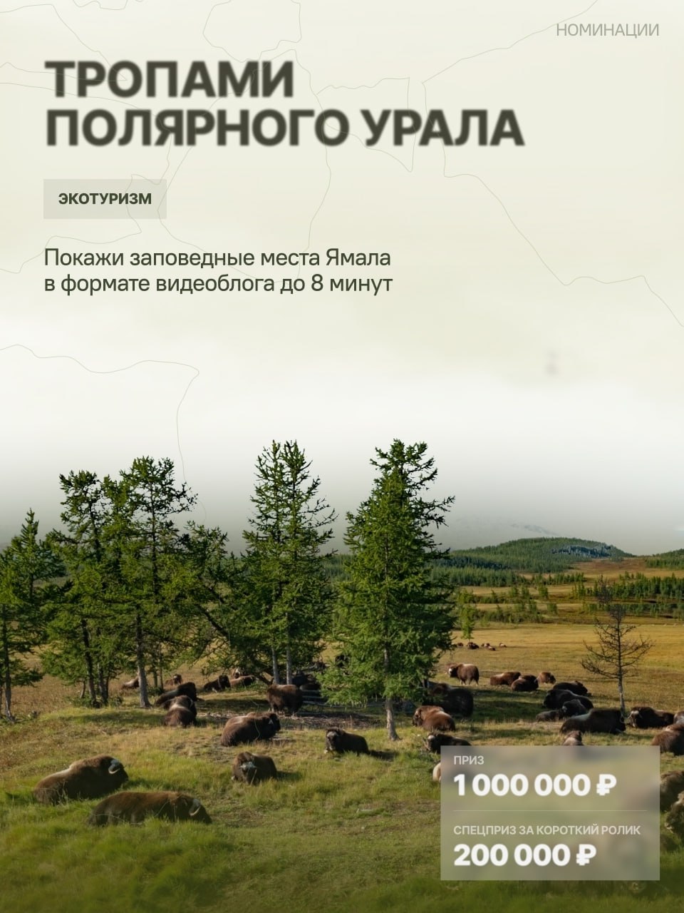 Сними видео и получи 1 миллион рублей Сними видео и получи 1 миллион рублей