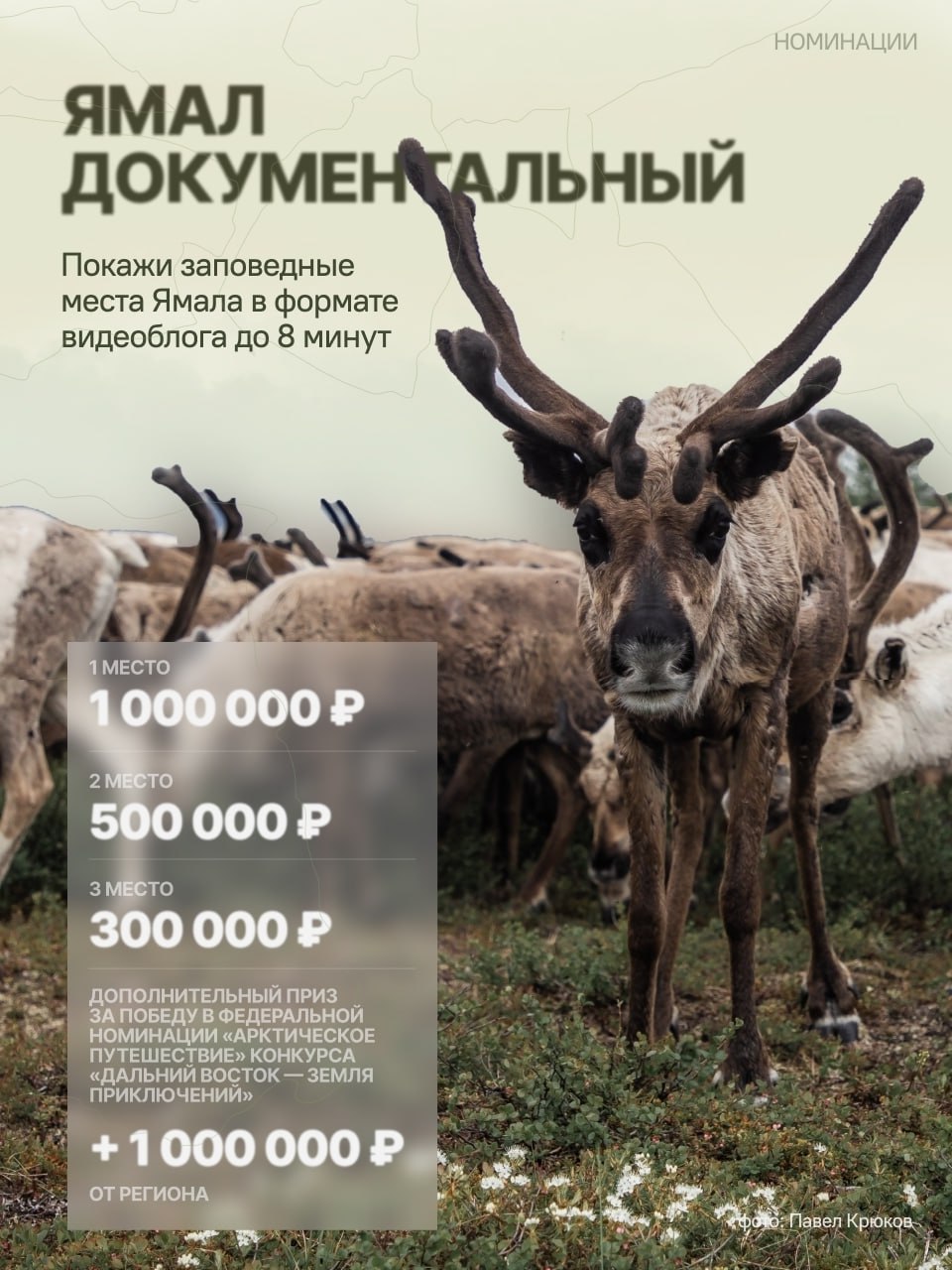 Сними видео и получи 1 миллион рублей Сними видео и получи 1 миллион рублей