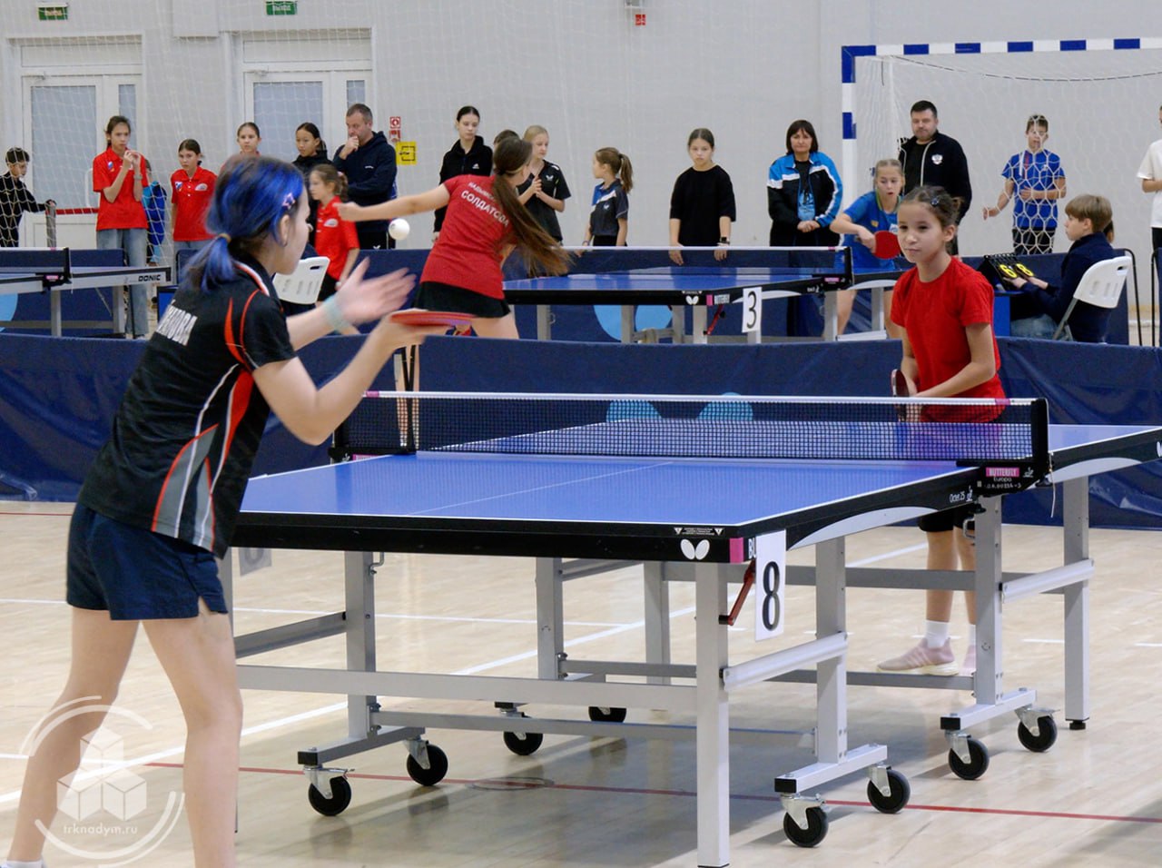 В Надыме дан старт первенству Ямала по настольному теннису В Надыме дан старт первенству Ямала по настольному теннису