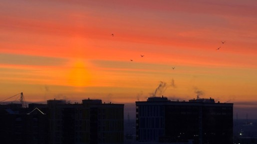 Мороз и солнце — день чудесный!