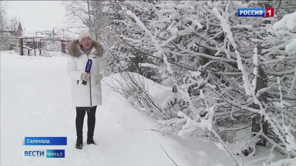 В Салехард неожиданно пришла весна