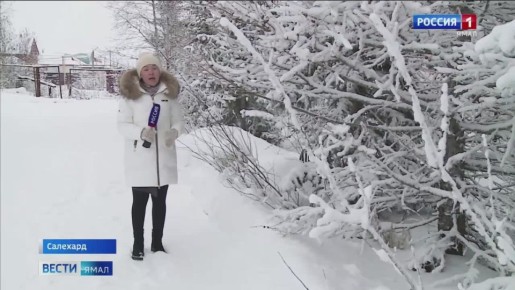 В Салехард неожиданно пришла весна