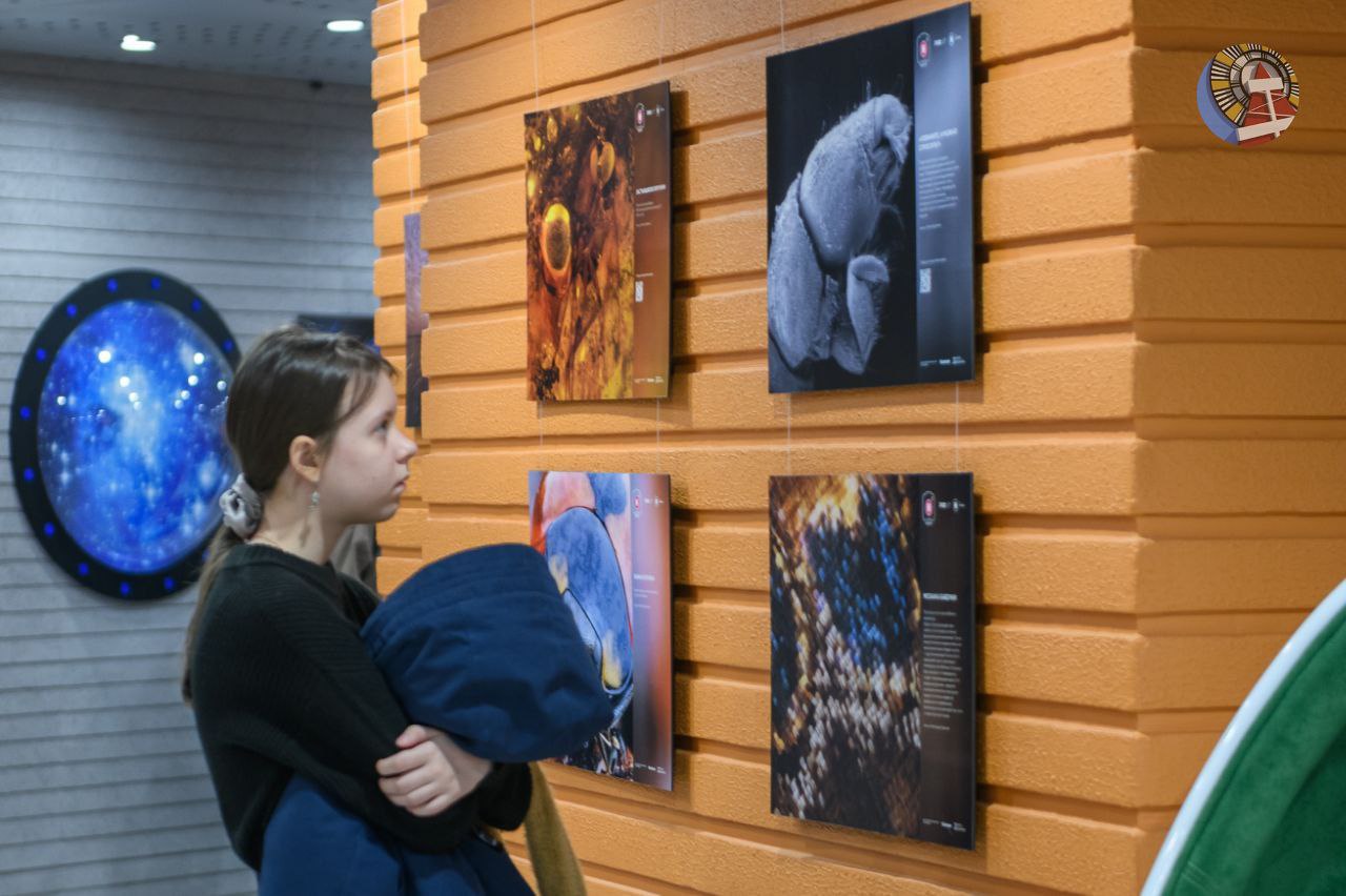 В эти выходные в детском технопарке «Пульсар» проходит фестиваль «НАУКА 0+: Ямальские чтения» В эти выходные в детском технопарке «Пульсар» проходит фестиваль «НАУКА 0+: Ямальские чтения»
