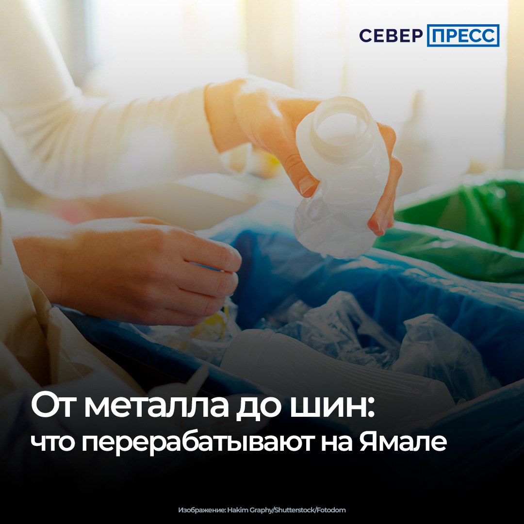 Всемирный день вторичной переработки отмечают ежегодно 15 ноября