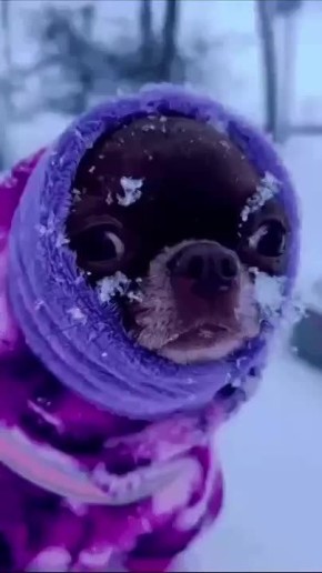 По данным синоптиков 16 ноября на всей территории округа прогнозируются неблагоприятные погодные явления: