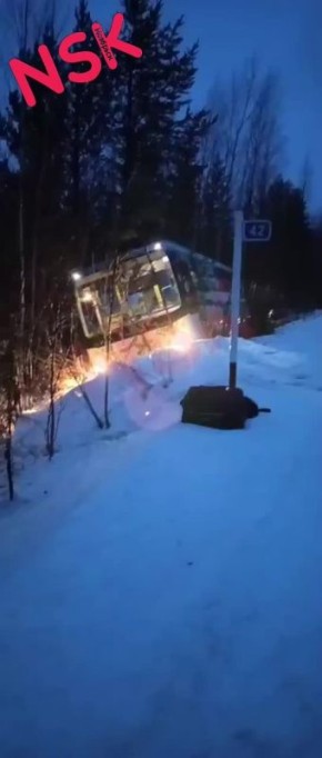На Ямале автобус съехал в кювет