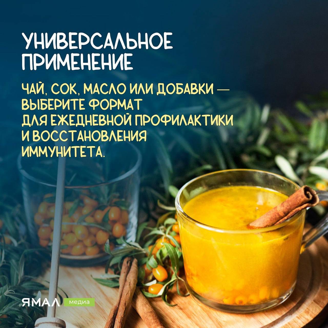 Облепиха — солнечный щит для иммунитета Облепиха — солнечный щит для иммунитета