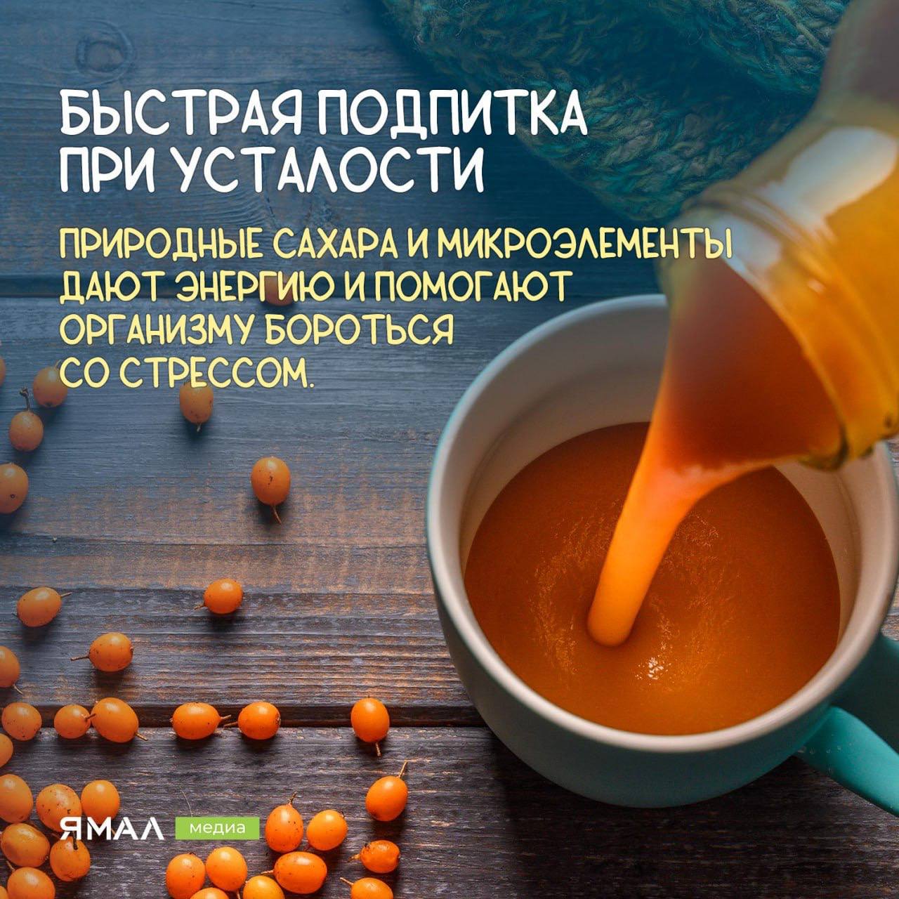 Облепиха — солнечный щит для иммунитета Облепиха — солнечный щит для иммунитета