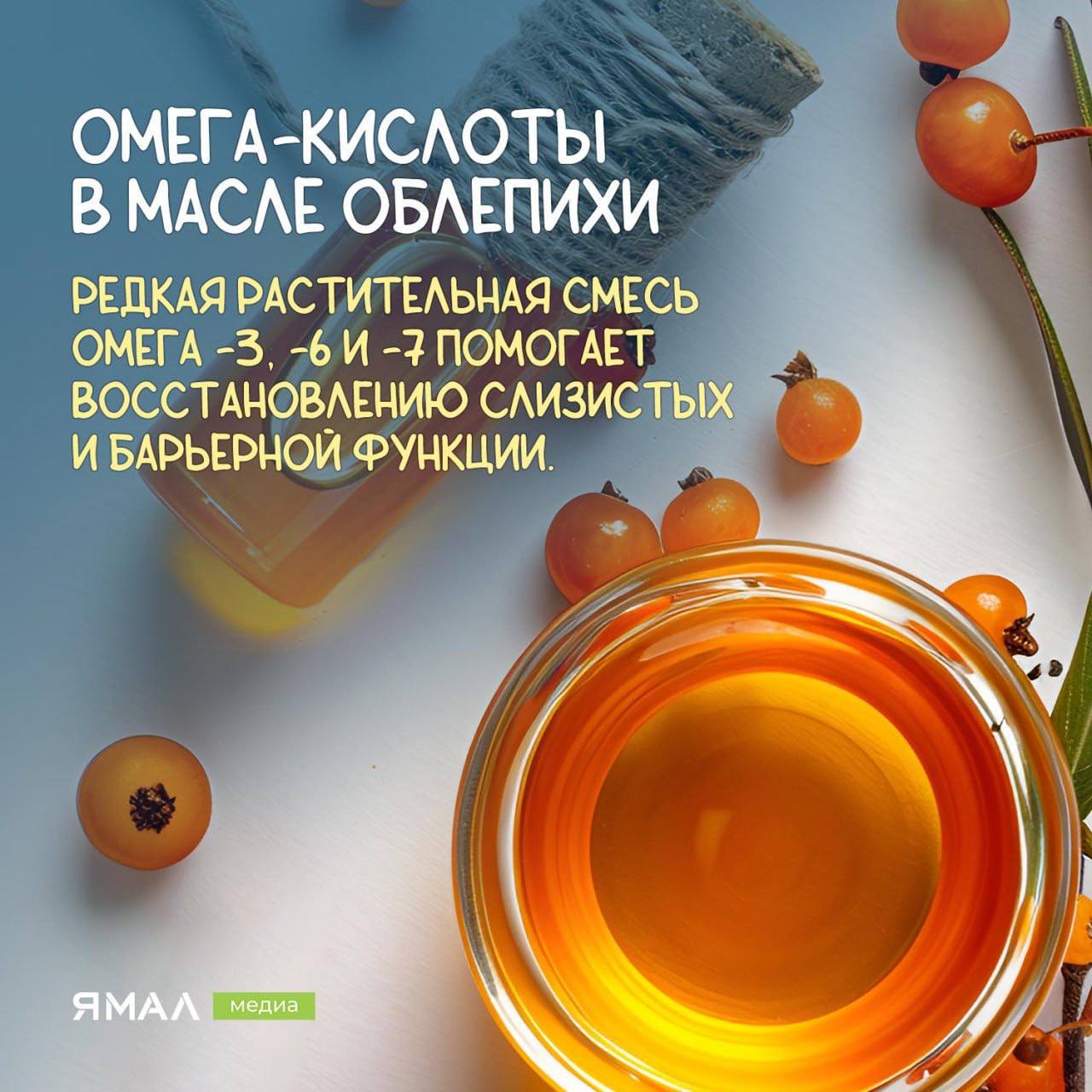 Облепиха — солнечный щит для иммунитета Облепиха — солнечный щит для иммунитета