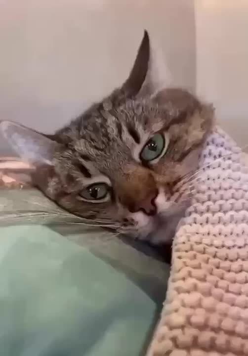 По данным синоптиков 17 ноября на территории округа прогнозируются неблагоприятные погодные явления: