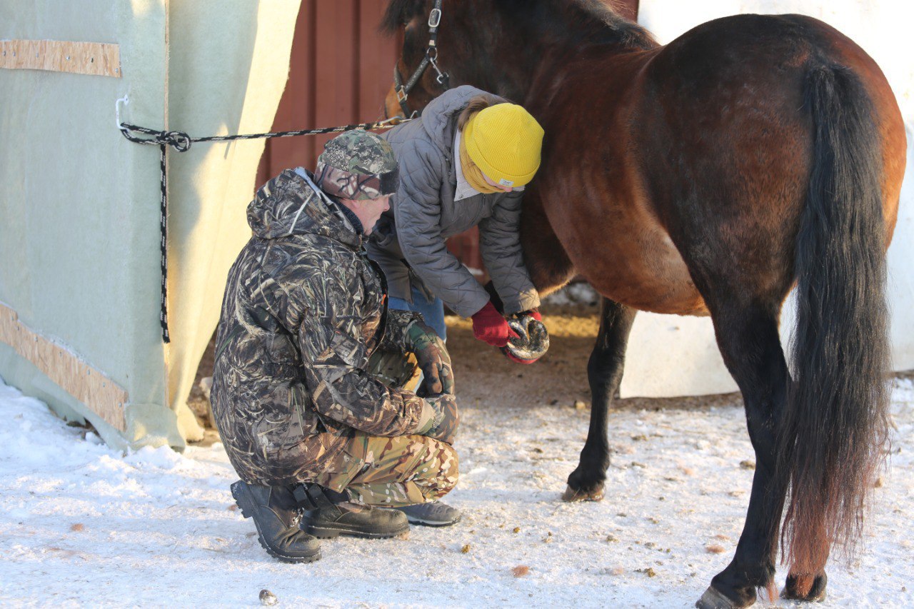 В отряде добровольцев-коноводов пополнение В отряде добровольцев-коноводов пополнение