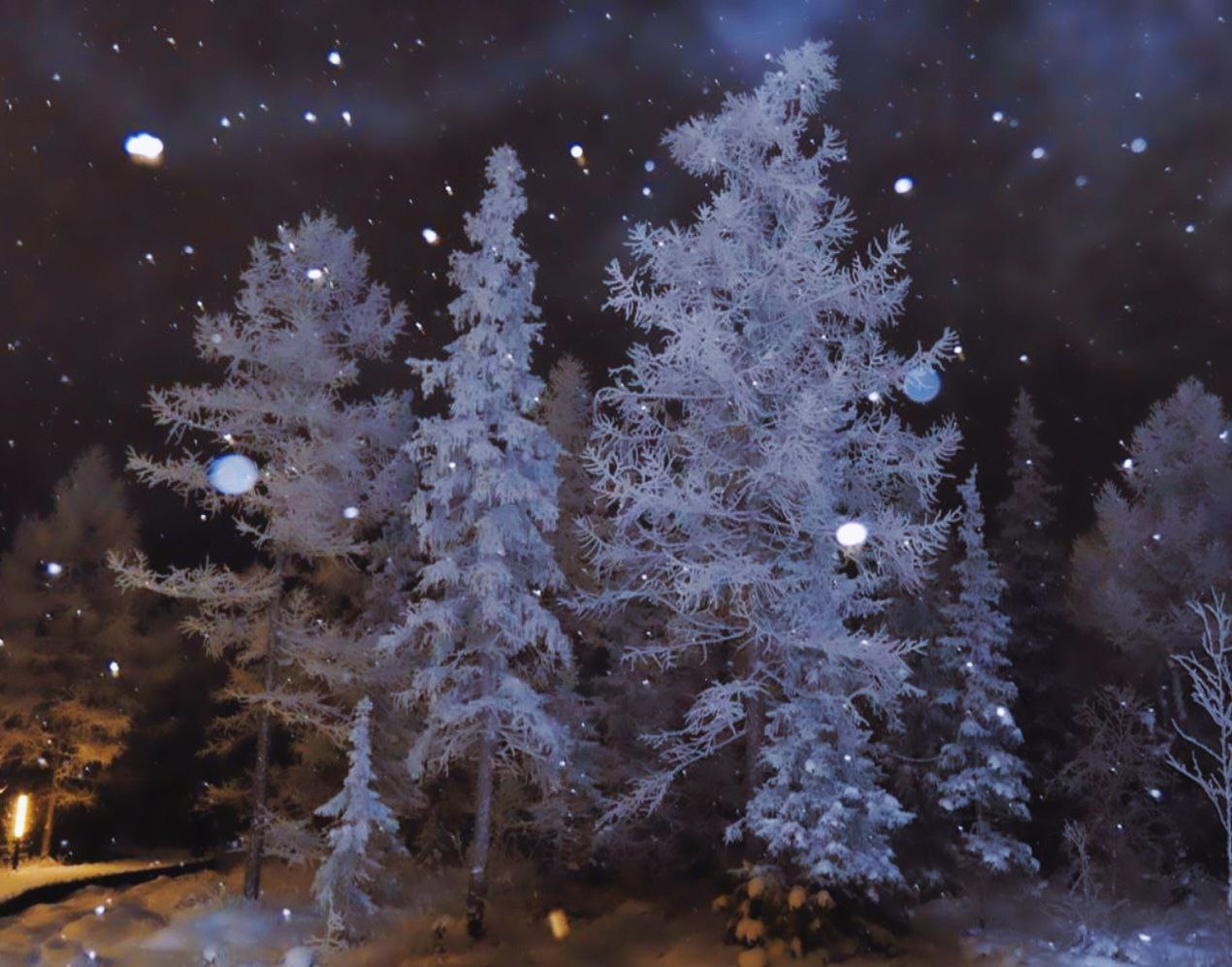 Сильный ветер и гололёд!. По данным метеослужбы, 18 ноября на территории округа прогнозируются неблагоприятные погодные явления: ветер юго-западный, западный 8-13 м/с с порывами до 15-17 м/с