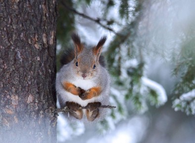 Доброе утро, друзья!. Пусть этот день будет наполнен радостью и улыбками, а работа будет интересной и плодотворной