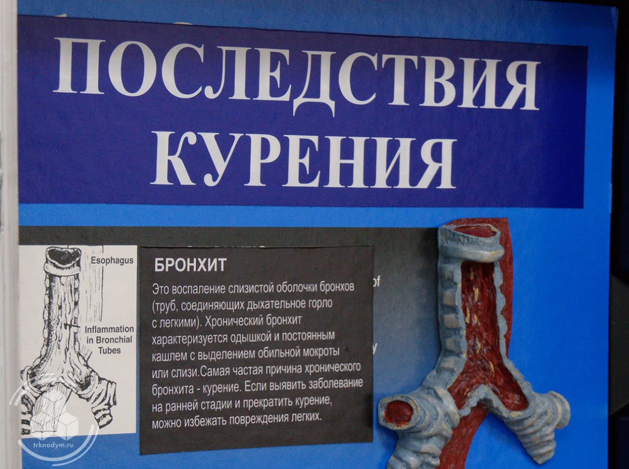 В Надымском профессиональном колледже состоялся разговор о парении без лозунгов и страшилок