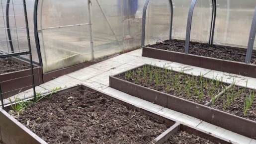 Как преобразить огород к новому сезону: шаги к здоровому урожаю