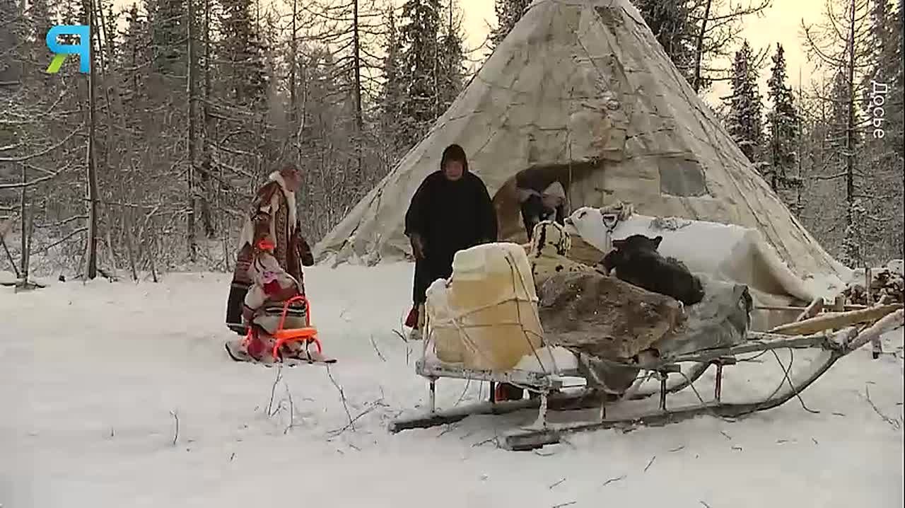 Новостной дайджест на «Ямал-Медиа»