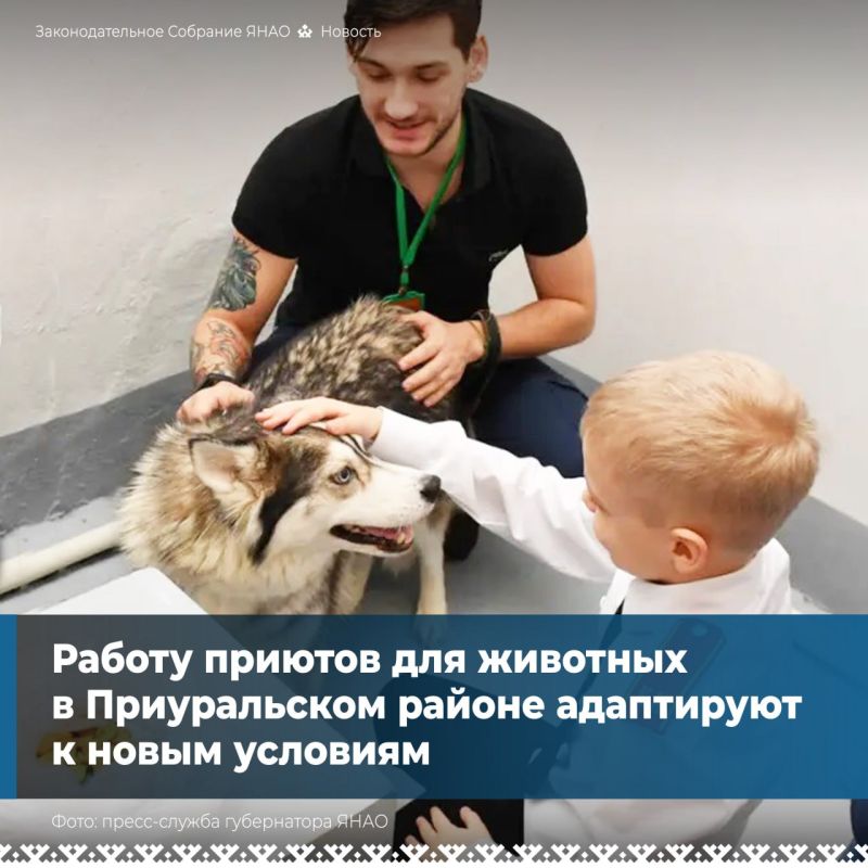 На заседании комитета по экологии, промышленности, АПК и делам КМНС депутаты рассмотрели законопроект, разработанный в связи с объединением Приуральского района и Лабытнанги
