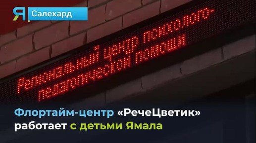 Московские эксперты помогают ямальским малышам превратить трудности в игру