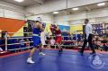 В Надыме стартовал районный турнир по боксу