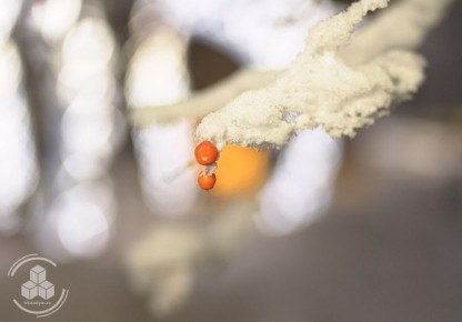 Суббота! Будильник? Что это?