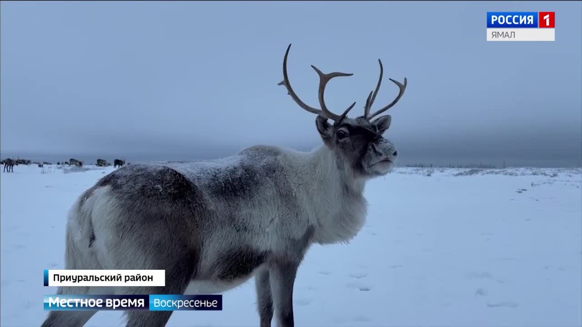 Настало время подвести итоги минувшей недели, и вот чем она запомнилась нашим корреспондентам: