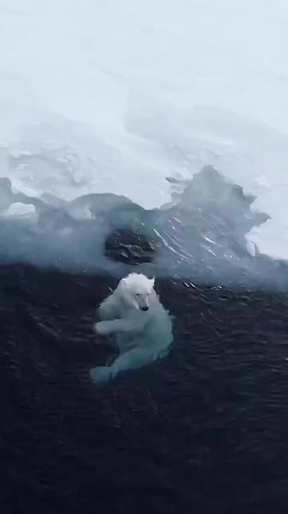 ЕДДС города Салехарда предупреждает об усилении ветра 25 ноября